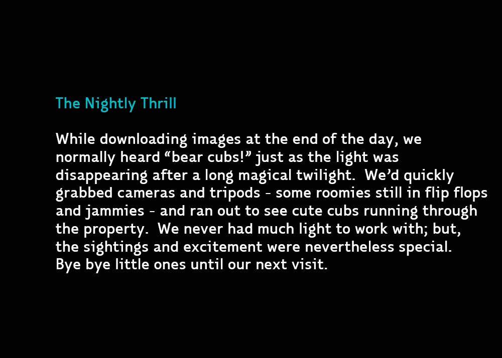 NightlyThrillsSSCL