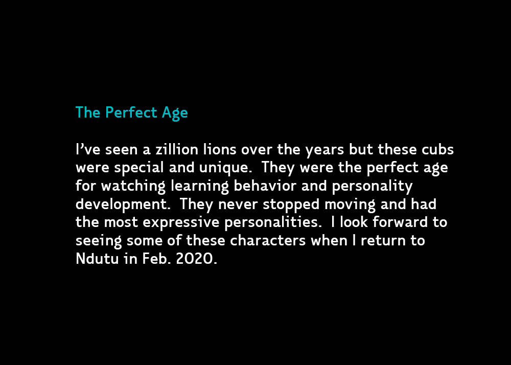 PerfectAge-Jan26-2020