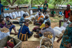 Betel nut traders from the provinces gather at Eight Mile, Port Moresby.  © Brian Cassey