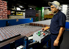 Production supervisor Carlos Flores, who was born in El Salvador, sorts cans in the Polar Beverages manufacturing plant © Christine Hochkeppel