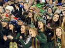 Nashoba Chieftains fans cheer on their team during the Division 2 state football championship at Gillette Stadium on Saturday, Dec. 5, 2015..