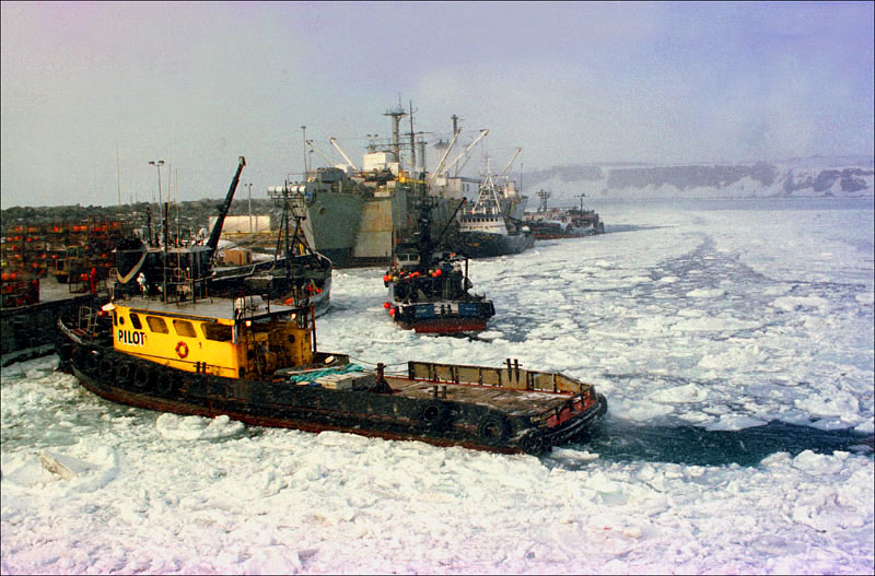 Tugboats and a smaller boat break up the ice in the harbor of St. Paul Island in January and February of 1995. This harbor is where most of the fleet delivered opilio crab in the 1990's, including the boats in the back of this frame delivering to the Unisea processor.  © copyright Karen Ducey