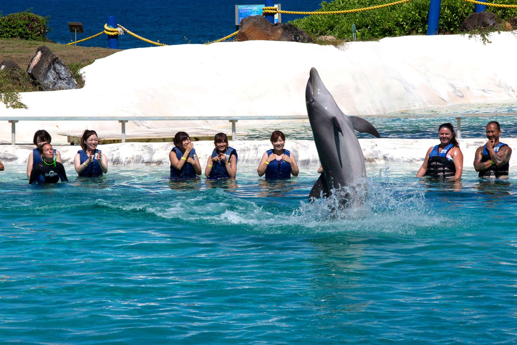 Patrons watch dolphins perform at Sea Life Park in Waimanalo, HI. Just beyond their tanks is Waimanale Bay and the Pacific Ocean. (photo © Karen Ducey)