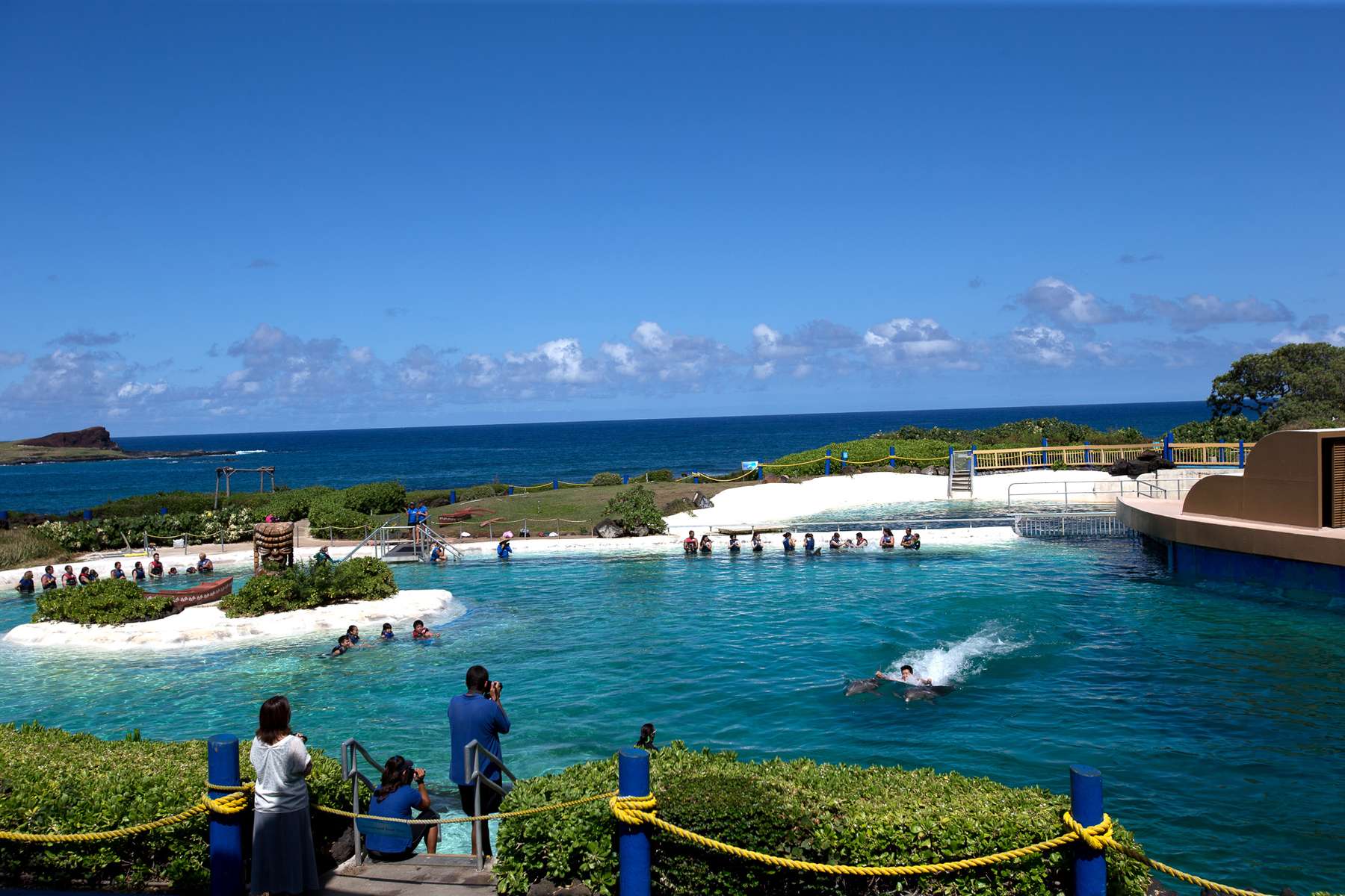 Patrons swim with dolphins at Sea Life Park in Waimanalo, HI. Just beyond their tanks is Waimanale Bay and the Pacific Ocean. (photo © Karen Ducey)