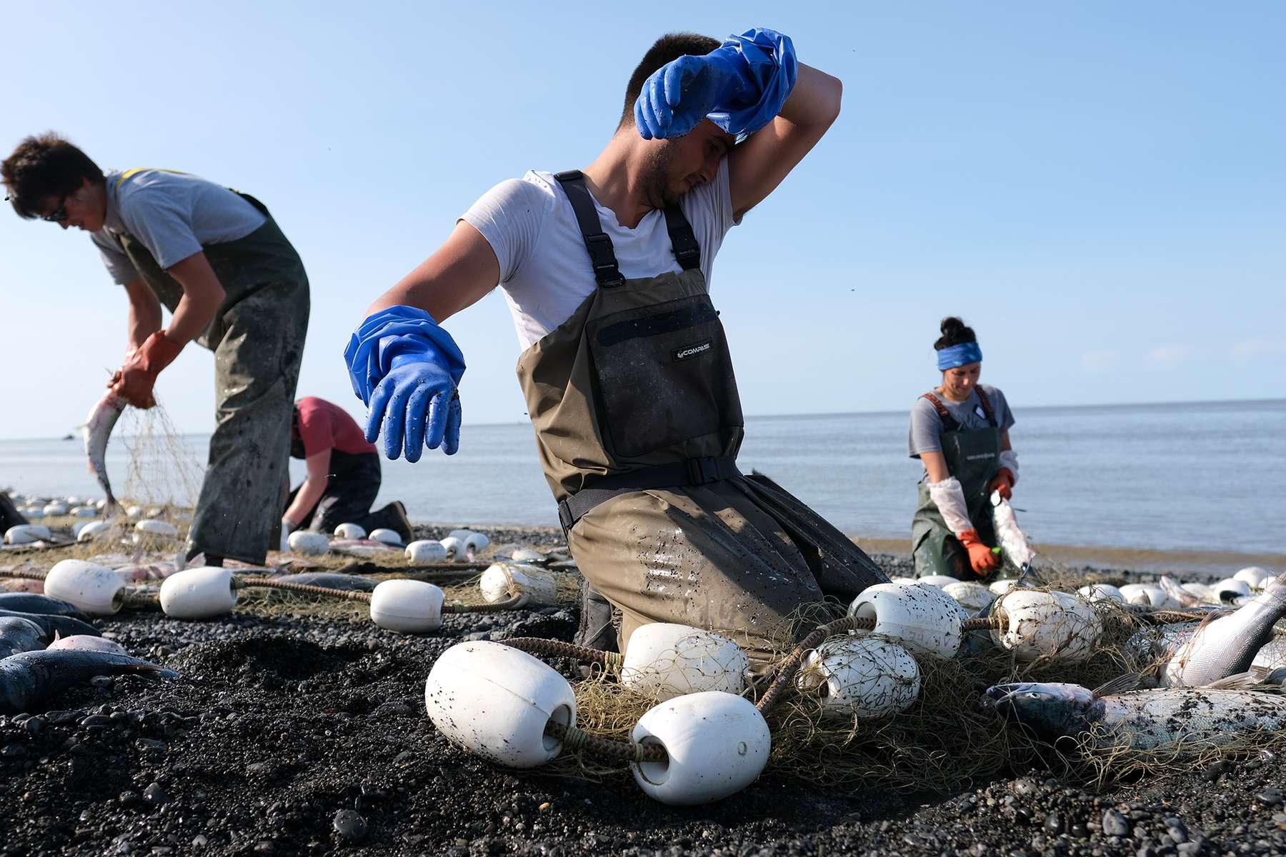 Nicholas Bouker wipes his brow as he picks salmon out of the net in Ekuk, Alaska on July 4, 2019. Temperatures reached into 90's in Anchorage - 25 degrees above average - a record high. Rising water temperatures throughout the summer caused an estimated 100,000 fish to die. (Photo by Karen Ducey)