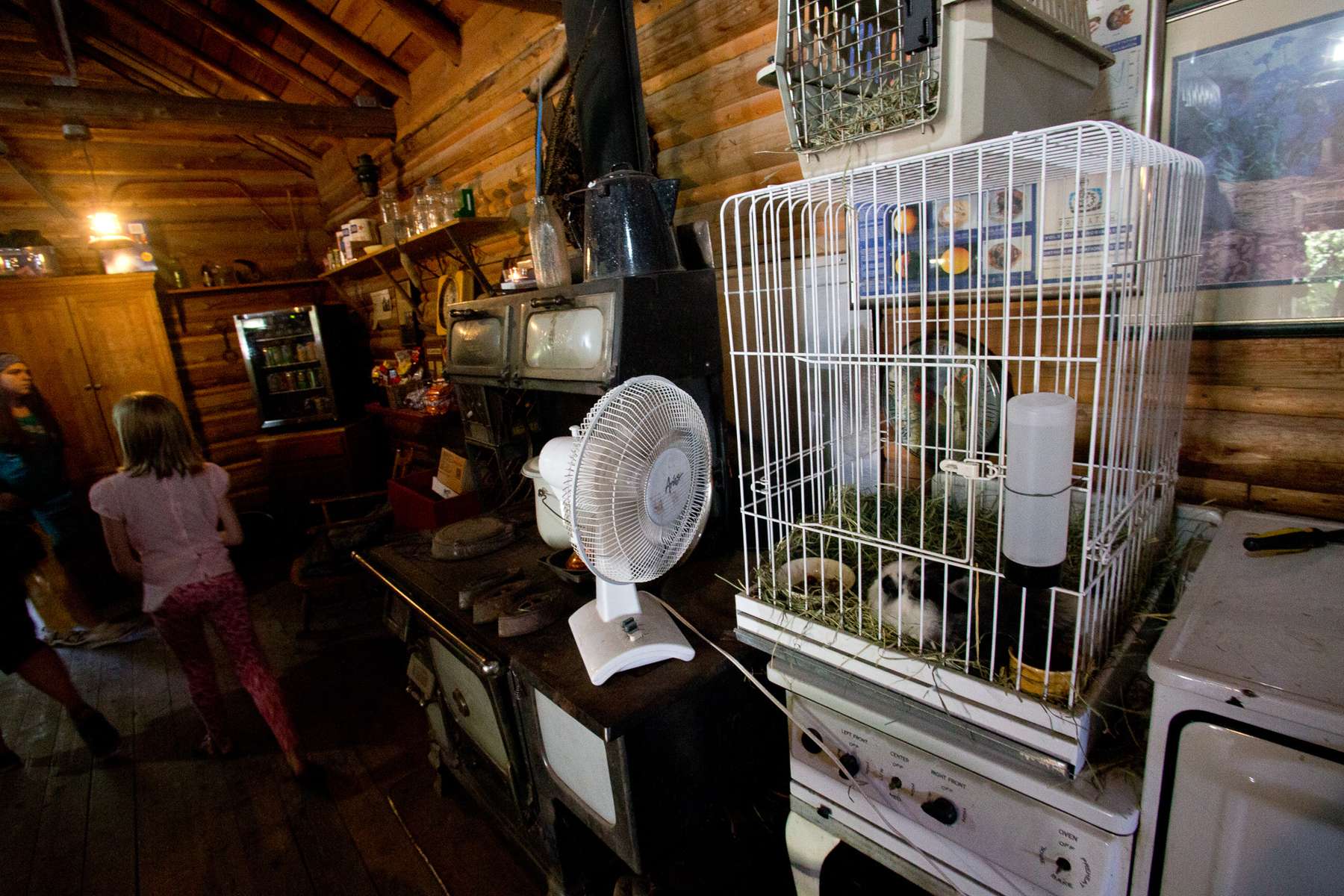 Caged animals are seen in the giftstore at the Outback Kangaroo Farm, a privately owned petting zoo, on July 20, 2016 in Arlington, WA.  (photo © Karen Ducey Photography)