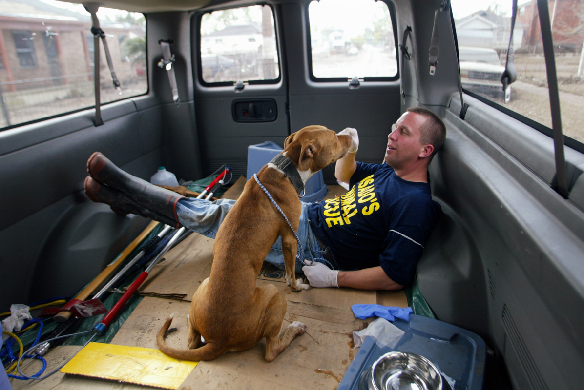 Steve Barr, from Rochester, NY. and a rescued pit bull bond in the back of a van after the dog was rescued by Pasados' volunteers.  © Karen Ducey