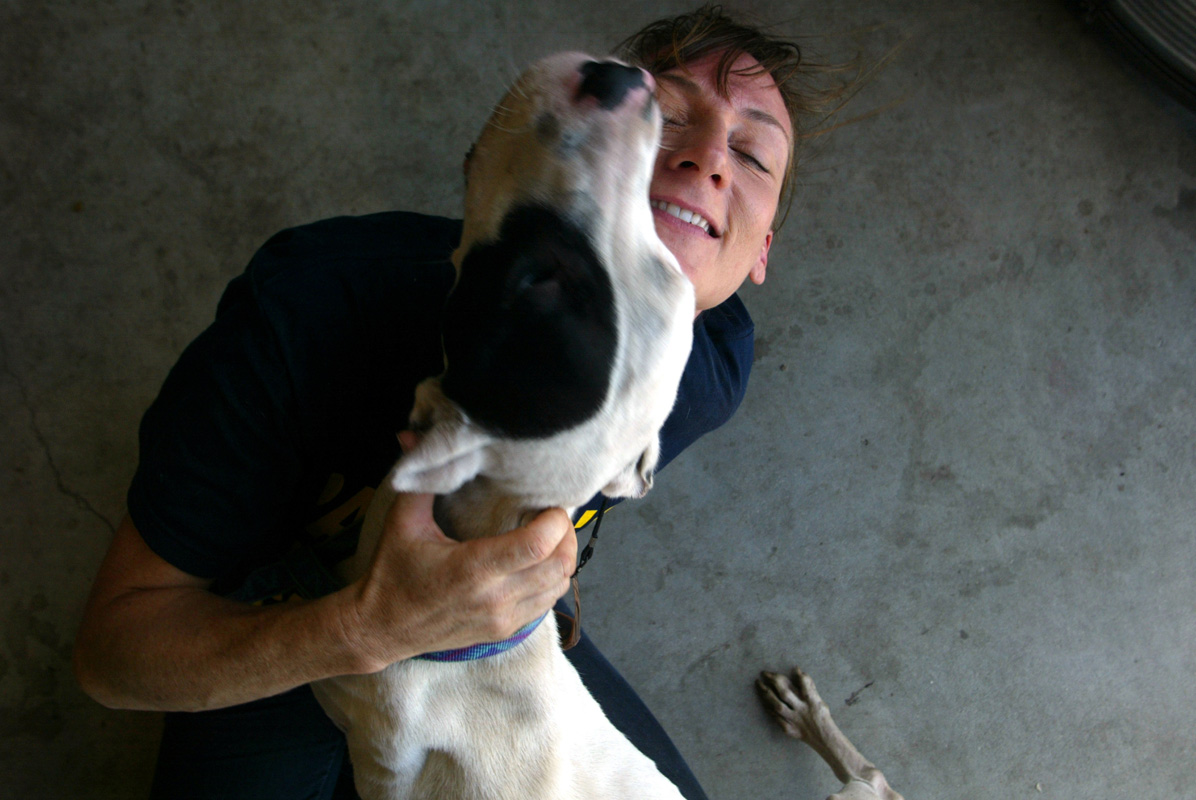 A volunteer from Pasados Safe Haven hugs a rescued great dane she later adopted. Animal rescuers from Pasados Safe Haven save animals after Hurricane Katrina destroyed New Orleans in 2005. © Karen Ducey 2013 