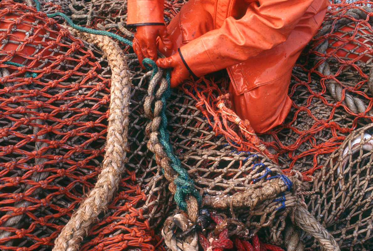 The F/V Alsea, a dragger, also known as a trawler, fishes for pollock in the Bering Sea. (© copyright Karen Ducey)