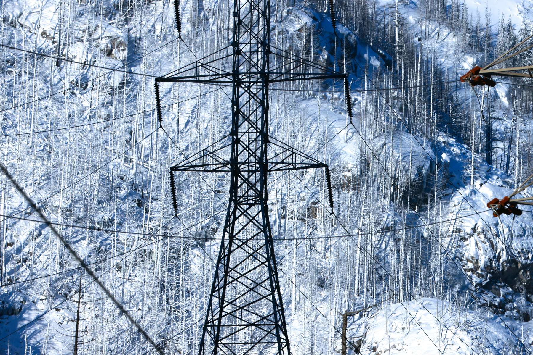 High-voltage transmission lines and snow peaked mountains and forests seen from Newhalem in the foothills of the North Cascades on Friday, January, 12, 2024. The Skagit River Hydroelectric Project consists of a series of dams and hydroelectric power stations including the Gorge Powerhouse located just below out of the frame.