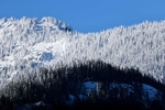 The snowline in the North Cascades National Park on Friday, January, 12, 2024. 