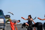 Set netters Loren Huffman, Virginia Andrews and other family members toss sockeye salmon into the back of a pickup truck filled with brackish and ice in Ekuk, Alaska on the Nushagak River in Bristol Bay on July 5, 2019. Temperatures reached into 90's in Anchorage - 25 degrees above average - a record high. Rising water temperatures throughout the summer caused an estimated 100,000 fish to die. The truck will head down the beach to deliever their catch to the seafood processor Ekuk Fisheries minutes away. Three generations of the family fish the setnet site, where the matriarch, Kay Andrews, says her grandmother, mother, aunts and uncles fished.