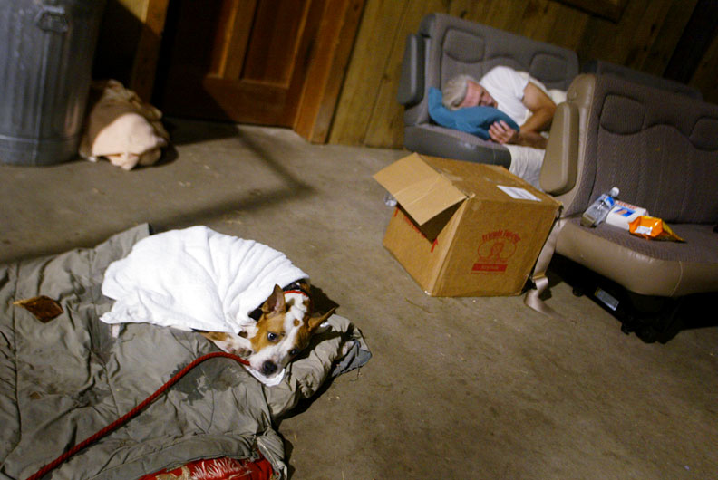 Rescued dog and a rescuer catch a few hours sleep in the Pasados Safe Haven barn in Raceland, LA in September 2005. © Karen Ducey 2013