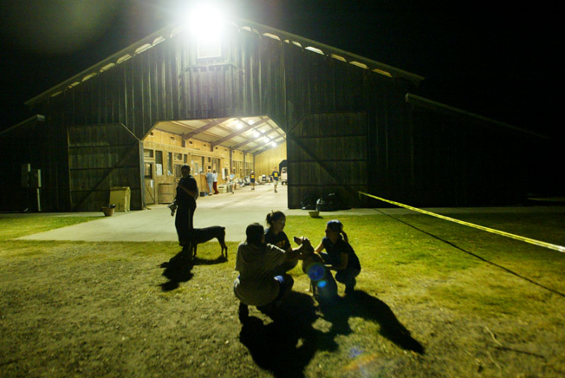 Volunteers play with a dog late at night at the barn donated to Pasados Safe Haven.  © Karen Ducey