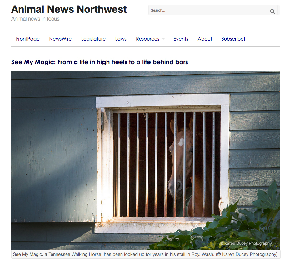 See My Magic: From a life in high heels to a life behind bars. Story and photos for Animal News Northwest, Jan. 6, 20161st place award from Society of Professional Journalists-Western Washington for feature writing, small press.