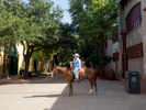 A man in a cowboy hat talks on his cell phone while sat on a horse.Dallas is a major city in Texas and is the largest urban center of the fourth most populous metropolitan area in the United States. The city ranks ninth in the U.S. and third in Texas after Houston and San Antonio. The city's prominence arose from its historical importance as a center for the oil and cotton industries, and its position along numerous railroad lines.For two weeks in the summer of 2015, photographer Peter Dench visited Dallas to document the metroplex in his epic reportage, DENCH DOES DALLAS.Photographed using an Olympus E-M5 Mark II©Peter Dench/Getty Images Reportage