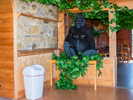 A plastic gorilla sits in the tea room at Esshottheugh Animal Park. Morpeth, Northumberland.