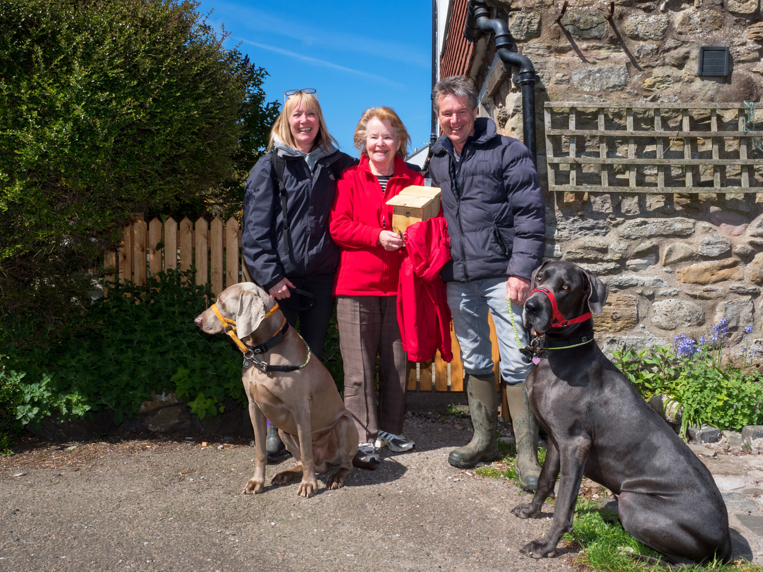 Richard, who works in the motor trade, with wife Helen, mother-in-law Iris and dogs Devon and Dragon on a walk on the tidal island of Lindisfarne. They are all Conservative Party voters and Iris is mayor of Frinton-on-Sea. Northumberland.