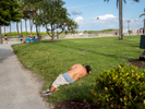 A man rests on the grass, South Beach, Miami.Miami is a seaport city on the Atlantic Ocean in south Florida. Miami's metro area is the eighth-most populous and fourth-largest urban area in the U.S., with a population of around 5.5 million.Miami is a major center, and a leader in finance, commerce, culture, media, entertainment, the arts, and international trade. In 2008, Forbes magazine ranked Miami {quote}America's Cleanest City{quote}, for its year-round good air quality, vast green spaces, clean drinking water, clean streets, and city-wide recycling programs. According to a 2009 UBS study of 73 world cities, Miami was ranked as the richest city in the United States, and the world's fifth-richest city in terms of purchasing power. Miami is nicknamed the {quote}Capital of Latin America{quote}, is the second largest U.S. city with a Spanish-speaking majority, and the largest city with a Cuban-American plurality.©Peter Dench/Getty Images Reportage