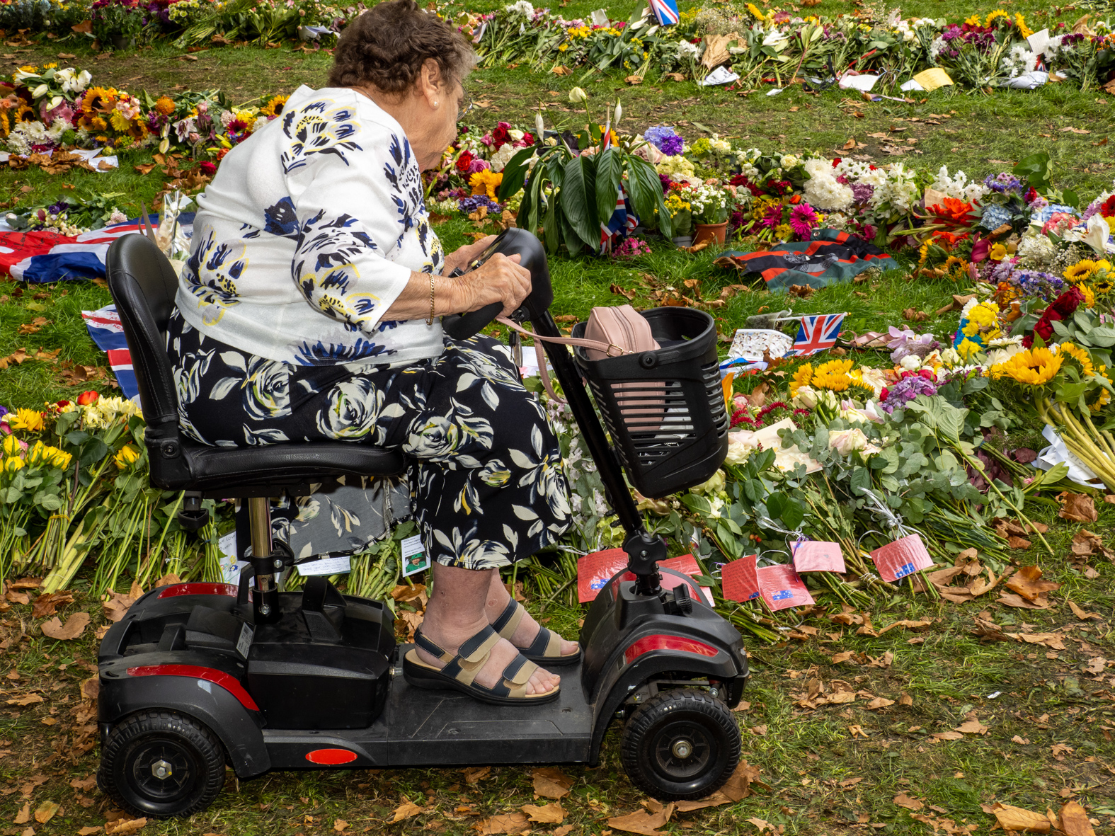 Visitors pay their respects at a temporary memorial garden in Green Park on 12th September in London, United Kingdom following the death of Queen Elizabeth II. Tributes include drawings, cards and floral tributes in their thousands. Plastic wrappings were encouraged to be disposed of responsibly by the public and also removed by volunteers and Royal Parks staff. King Charles III is known to be averse to the use of plastic in this way. (photo by Peter Dench/Getty Images)