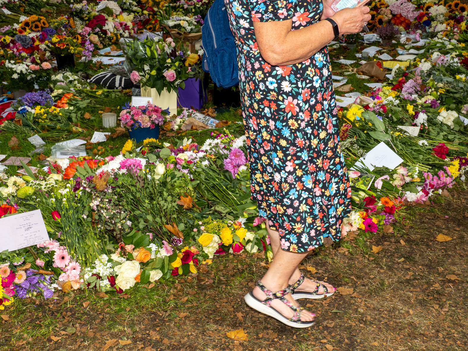 Visitors pay their respects at a temporary memorial garden in Green Park on 12th September in London, United Kingdom following the death of Queen Elizabeth II. Tributes include drawings, cards and floral tributes in their thousands. Plastic wrappings were encouraged to be disposed of responsibly by the public and also removed by volunteers and Royal Parks staff. King Charles III is known to be averse to the use of plastic in this way. (photo by Peter Dench/Getty Images)