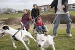 From left - 5 year old Ellie, Tina Connelly, Kayne 3, and Darren Bernard with dogs Ronnie and Boycie on park land in front of the crumbling Leys Estate in Dagenham.Dagenham is a large suburb in east London, England forming part of the borough of Barking & Dagenham 12 miles from Charing Cross. In 1931 the Ford Motor Company relocated to Dagenham. At its peak the plant had 4 million square feet of floor space employing 40,000. On February 20, 2002 full production was discontinued and the work force has shrunk to around 2500 causing economic decline to Dagenham and the surrounding area.