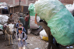 Zabaleen children make their way to lessons through the tightly packed streets of Moqqatam.Moqqatam is a suburb on the edge of Cairo and home to a people known as the Zabaleen, said to be the world’s greatest waste recyclers. The Zabaleen, which means plainly enough, “the garbage collectors”, pick up around 4,000 tons of Cairo’s waste each day. American researchers have shown that the Zabaleen recycle 85% of this garbage into something useful: a higher rate than anywhere else on the planet. The men do two shifts leaving about 4am and again around 9am. The rubbish is taken back to Moqqatam for the women to sit in and sort through. The organic waste is fed to livestock (the Zabaleen are originally swine herders), the rest sorted for recycling. The future of the Zabaleen is uncertain: if the Cairo authorities get their way, this community of around 25,000 Coptic Christians living in a Muslim country will be gone, and with it, their unique lifestyle.