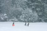 Winter storm at Shelly Lake in Raleigh, North Carolina. 