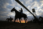 Horses are seen in silhouette making their way to the track for morning workouts at Belmont Park in Elmont, New York May 21, 2014. The Belmont Stakes will be host to California Chrome as he competes for the coveted triple crown at Belmont Park on June 7, 2014.  REUTERS/Shannon Stapleton  (UNITED STATES )