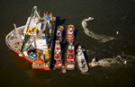 Blue Marlin, Dockwise Heavy Lift Vessel Loads Tugs