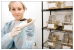 Transgenic mouse research lab.UC Irvine, CA