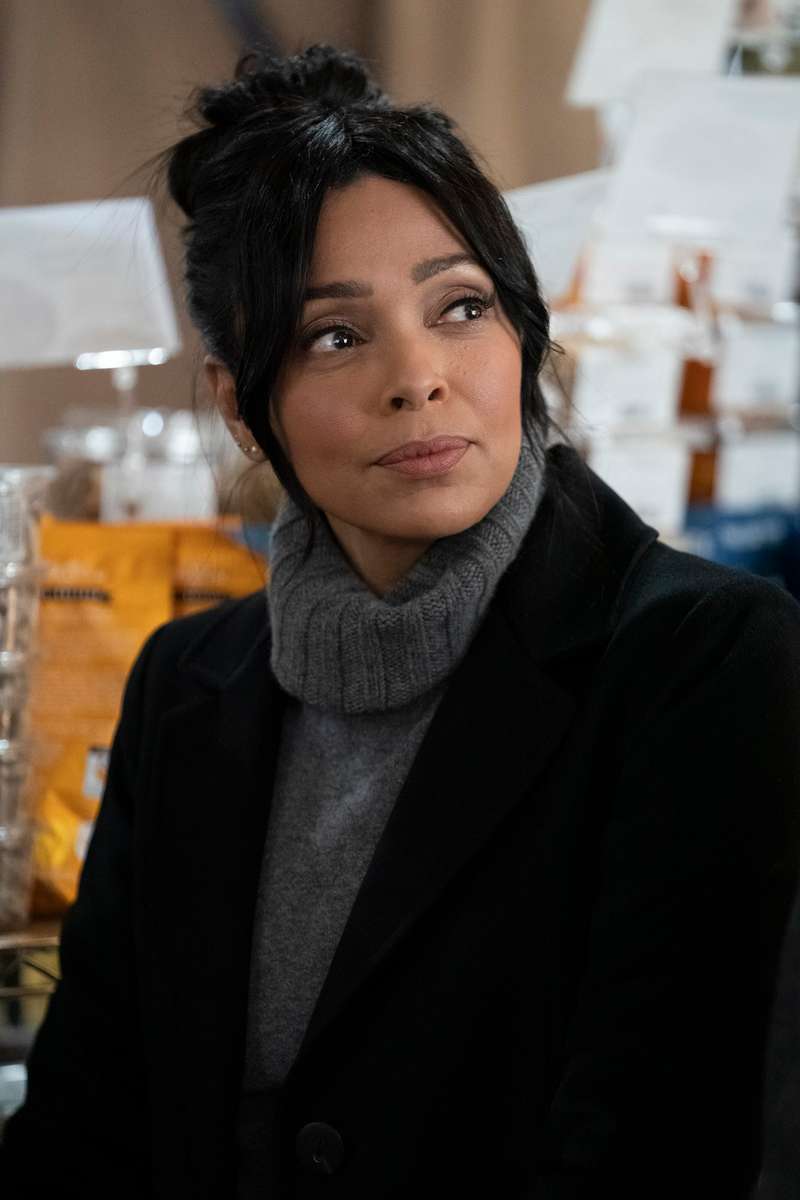 LAW & ORDER: ORGANIZED CRIME -- {quote}Say Hello To My Little Friend{quote} Episode 103 -- Pictured: Tamara Taylor as Angela Wheatley -- (Photo by: Heidi Gutman/NBC)