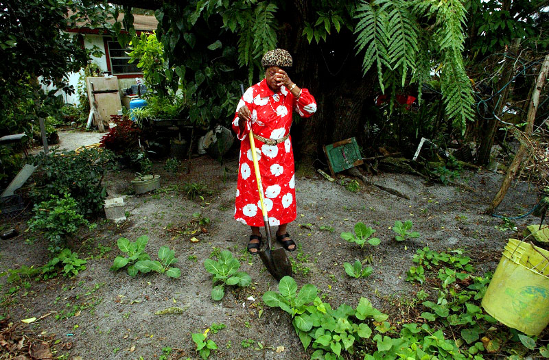 Wabasso resident, Ardile Black, works in her prized garden behind her house recently.  Black, 85, lives with her husband Charles, 91, in a house she inherited from relatives over two decades ago.  The aged couple is no longer able to take care of the necessary maintenance on such an old house.