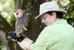 The Treasure Coast Wildlife Center held a free, open house to celebrate their 43rd anniversary on Saturday, March 25, 2017, in Palm City. The event included guided nature trail walks, face and rock painting, educational demonstrations and a patient release. The center is a non-profit organization that depends on donations and volunteers to care for a wide variety of wild animals, including a bald eagle, a crested cara cara, a falcon, owls, hawks, tortoises, alligators and crocodiles.