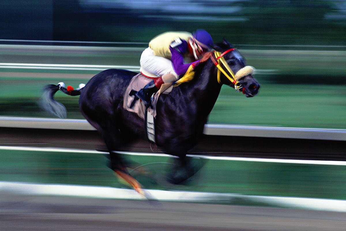 A horse and jockey speed down the stretch during a race at El Comandante Racetrack in Canovanas, Puerto Rico.  Client: El Comandante Racetrack