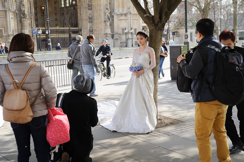 A wedding party encountered opposite the Houses of Parliament in Westminster.