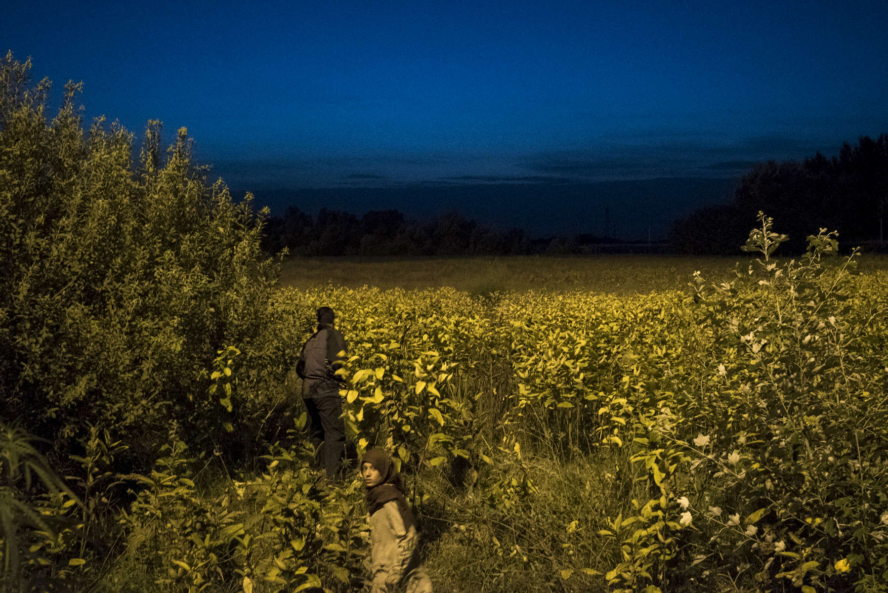 2015.  Horgos.  Serbia.  The closed Serbian-Hungarian border. The border had closed at midnight earlier that day, but thousands of migrants unaware of an alternative route hoped that it would be opened.  At the border fence thousands of migrants set up tents and demonstrated into the night while Hungarian police stood guard on the other side and shined their flashlights at the cameras of photographers attempting to photograph them. It quickly became clear that it wouldn't reopen and the next morning most pivoted towards Croatia.  There were clashes the next day at the border, and Hungarian riot police tear gassed dozens of migrants.