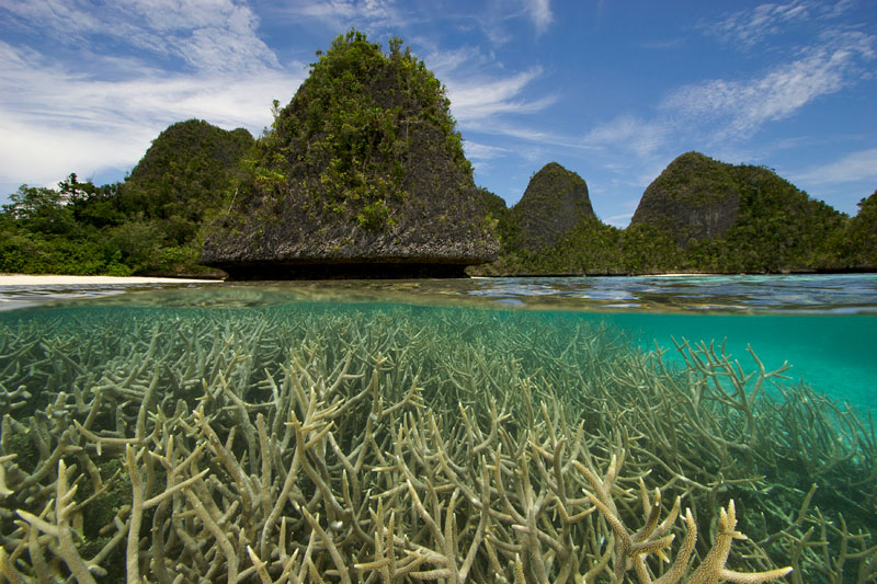 wayag raja ampat