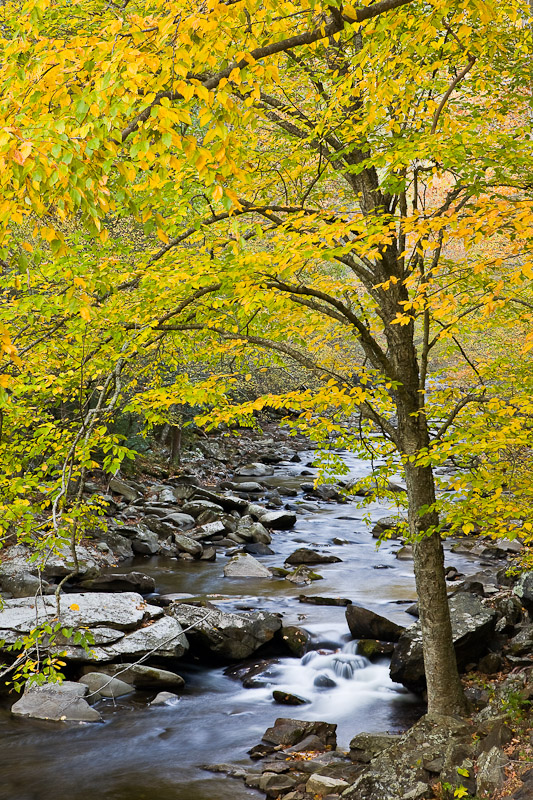 Little River from Little River Road, Great Smoky Mountains National Park