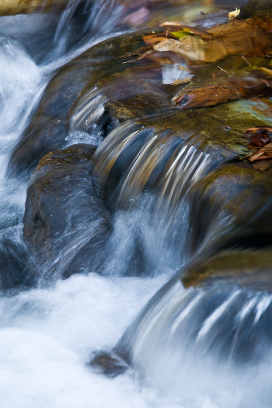 Fall colors along  the Middle Prong of the Little River, Tremont area of Great Smoky Mountains National Park