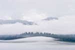 Fog in Glacier Bay, Glacier Bay National Park and Preserve, Alaska