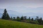 Rhododendron and mountain ridges from Round Bald, Roan Mountain, Tennessee