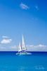 Calabaza catamaran cruise in Barbados
