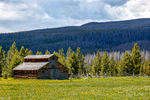 Barn along Trail Ridge Road in Rocky Mountains National Park