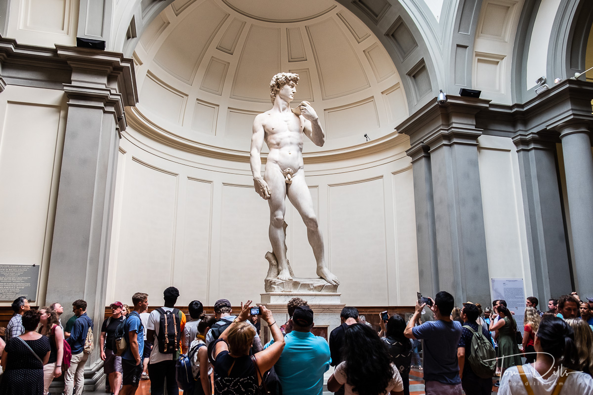 Michelangelos David At The Galleria Dellaccademia Di Firenze