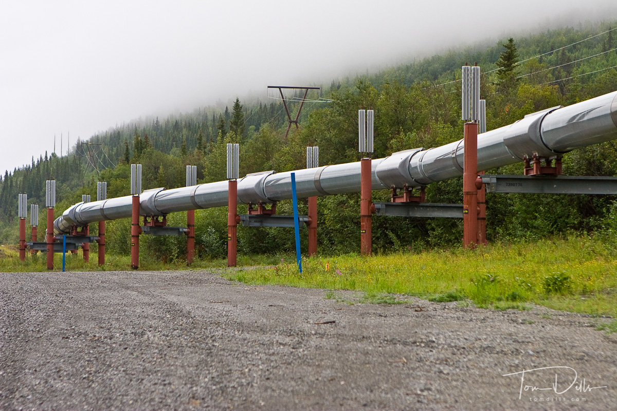 Trans-Alaska Pipeline near Copper Center, Alaska