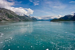 Ice floating on the water, Glacier Bay National Park and Preserve, Alaska