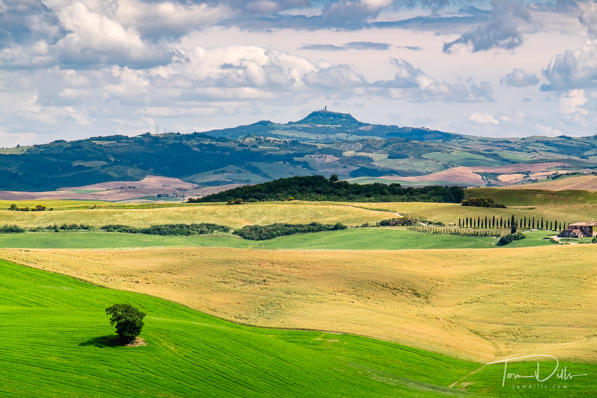 Tuscan countryside near Montalcino, Italy