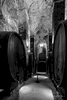 De' Ricci wine caves in Montepulciano, Italy
