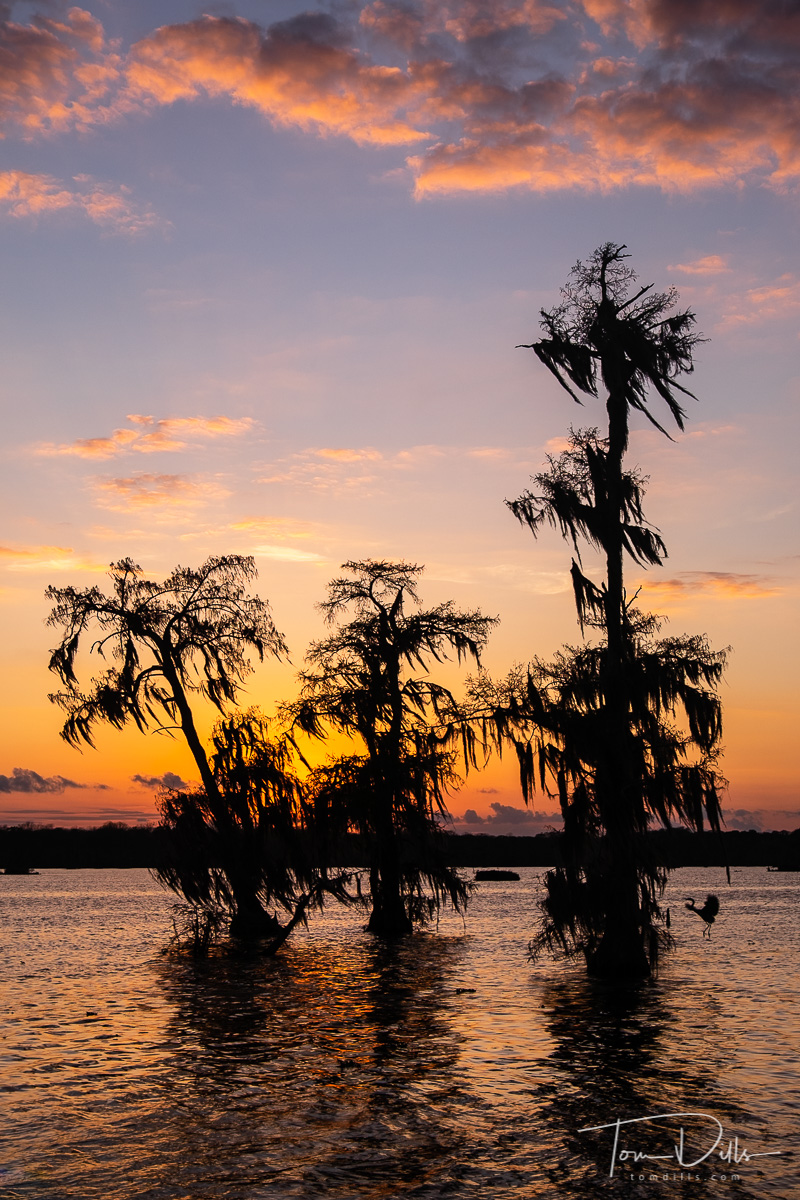 Sunset on Lake Martin, near Breaux Bridge, Louisiana